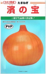 ���ͥ����ġ����ޥͥ�����������[�����̡�20ml]