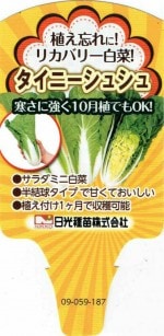 �ꥫ�Х꡼��ڡ֥����ˡ����奷���9cm�ݥå��ġ�ȯ��������10���ܡ�11���ܡ�