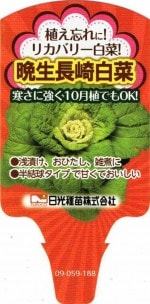 �ꥫ�Х꡼��ڡ�����Ĺ����ڡ�9cm�ݥå��ġ�ȯ��������10���ܡ�11���ܡ�