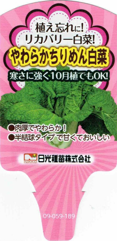 リカバリー白菜「やわらかちりめん白菜」9cmポット苗【発送時期：10月