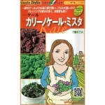 �ȥ������ġ������ȥ����ꥢ�����꡼�Υ����롦�ߥ���[�����̡���20γ��2��]