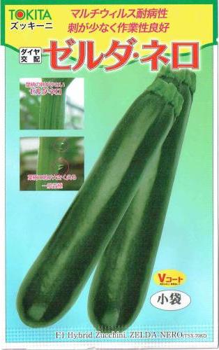 �ȥ������ġ����å����ˡ���������ͥ� [�����̡���10γ]