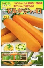 �ȥ������ġ����å����ˡ������������å� [�����̡���10γ]