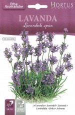 HORTUS�ҡ���٥������Lavandula spica��(�����̡�0.5g)��[0165][COD.BGALAV001]