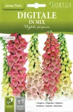 HORTUS�ҡ��������ꥹ��(�����̡�0.8g)��[D024][COD.BGFDIG001]�ʥ������ꥹ��