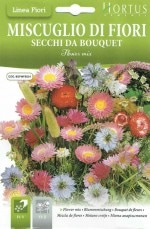 ��HORTUS�ۥ֡����ߥå�����[�����̡�0.8g][MX24][COD.BGFMFS001]