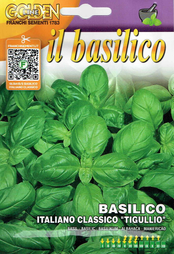 ��FRANCHI�ҡۡ�GL13/2�ۥХ��� Italian classico��tigullio��[�����̡�10g]