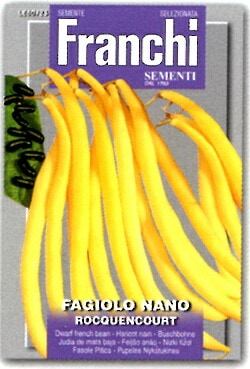 ��FRANCHI�ҡۡ�60/23�ۥĥ�ʤ����󥲥� ROCQUENCOURT