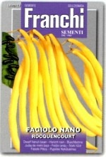 ��FRANCHI�ҡۡ�60/23�ۥĥ�ʤ����󥲥� ROCQUENCOURT