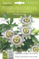 HORTUSҡȥ(̡0.4g)[P014][COD.BGFPA001]