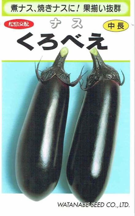 渡辺採種場 ナス くろべえ 0.6ml 【郵送対応】 | 【メーカー名からタネ