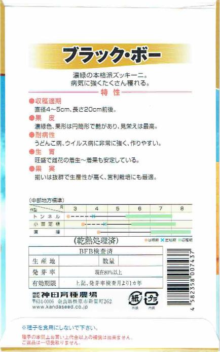 神田育種農場 ズッキーニ ブラック・ボー