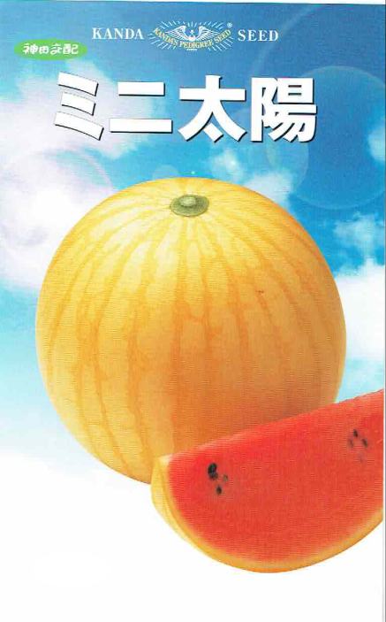 神田育種農場 スイカ ミニ太陽