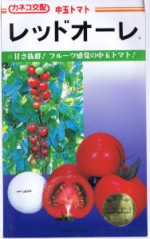 ͥġȥޥȡåɥ졡[̡12γ]