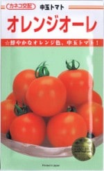 ͥġȥޥȡ󥸥졡[̡13γ]