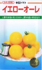 ͥġȥޥȡ졡[̡13γ]