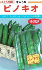 ���ͥ����ġ����奦�ꡡ�ԥΥ�����[�����̡�20γ]