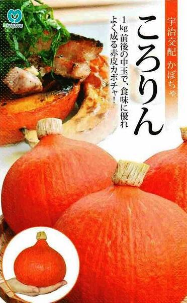 �ݼ�������ۡ����ܥ��㡡�������8γ��͹���б���