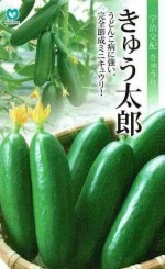 �ݼ���奦�ꡡ���夦��Ϻ��5γ ��͹���б���