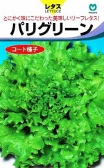 �ݼ�쥿�����ѥꥰ�꡼�� �����ȼ�ҡ�40γ ��͹���б���