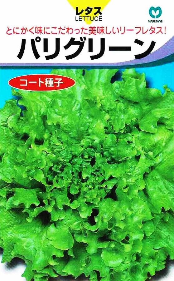 丸種 レタス パリグリーン コート種子 40粒 【郵送対応】 | 【メーカー