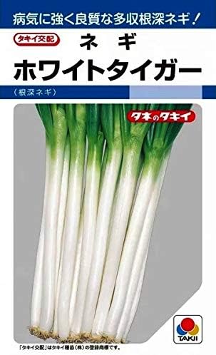 ���������ġ��ͥ����ۥ磻�ȥ���������8ml��͹���б���