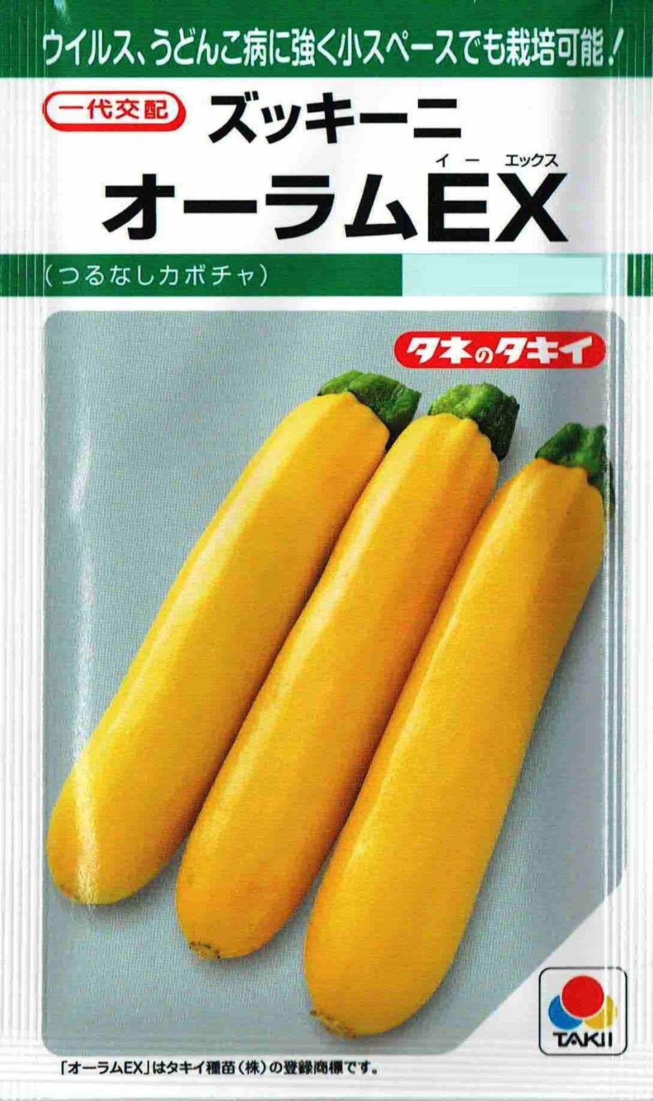 ���������ġ����å����ˡ��������EX��10γ��͹���б���