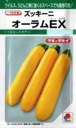 ���������ġ����å����ˡ��������EX��10γ��͹���б���