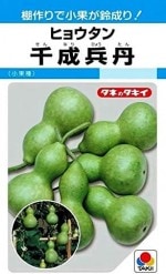 ���������ġ��ҥ祦��������ʼð��36γ ��͹���б���