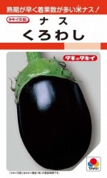 ���������ġ��ʥ��������路��35γ��͹���б���