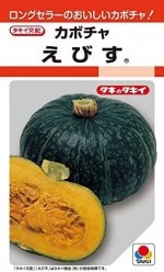 ���������ġ����ܥ��㡡���Ӥ���13γ ��͹���б���