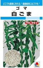 ���������ġ��򤴤ޡ�12ml��͹���б���