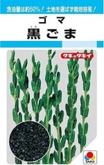 ���������ġ������ޡ�12ml��͹���б���