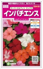 Υ͡ѥ󥹡ѡեߥå25γ͹б