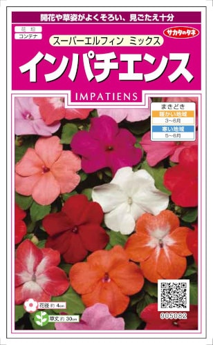 サカタのタネ インパチエンス スーパーエルフィンミックス 約25粒