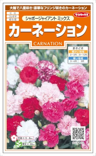 超希少『究極のカーネーション CARNATIONセット』DX仕様2枚組CD7枚他 サカタのタネ カーネーション シャボージャイアントミックス 0.3ml