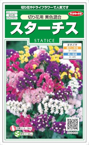 サカタのタネ　スターチス　切り花用美色混合　0.3ml　【郵送対応】