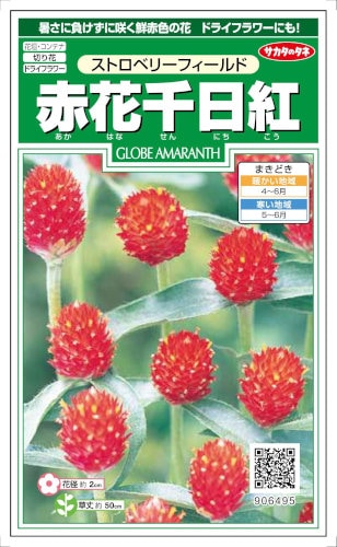 サカタのタネ 赤花千日紅 ストロベリーフィールド 0.4ml 【郵送対応