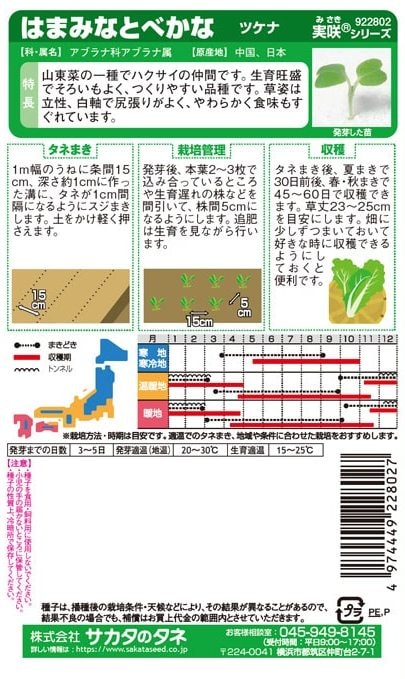 サカタのタネ ツケナ はまみなとべかな 9ml【郵送対応】