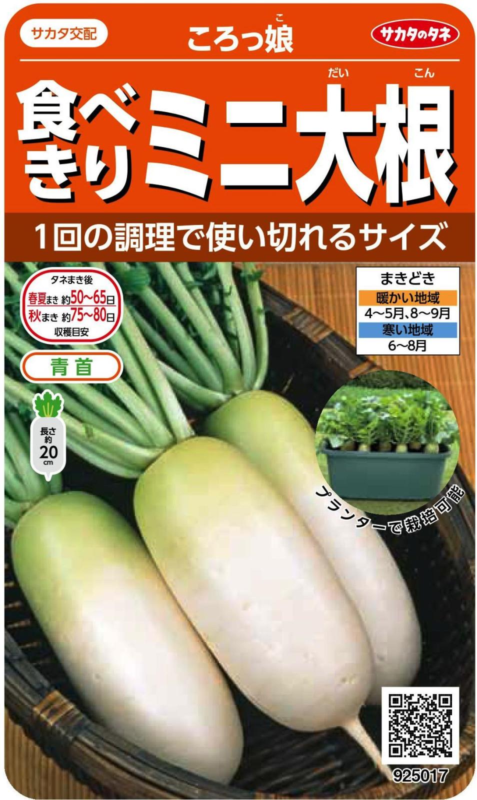 サカタのタネ ダイコン 食べきりミニ大根 ころっ娘 5ml【郵送対応
