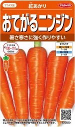 �������Υ��͡����Ƥ���˥󥸥󡡹Ȥ����ꡡ3ml��͹���б���