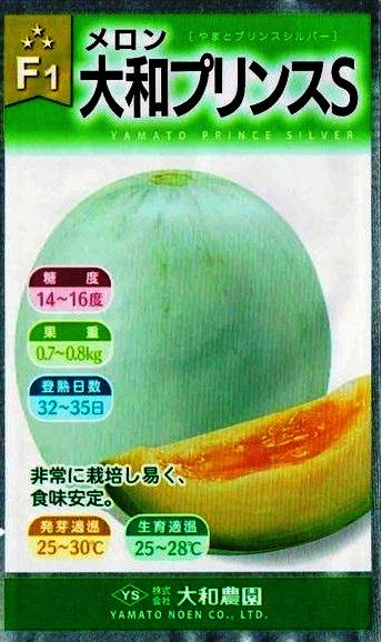 �������ࡡ��������¥ץ��S����10γ��͹���б���