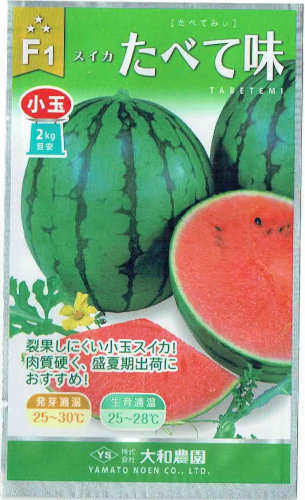 大和農園 スイカ たべて味 約7粒 【郵送対応】 | 【メーカー名からタネ