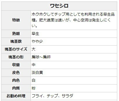 種ジャガイモ・種いも】「ワセシロ」の種じゃがいも 約500g入【春