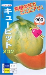 ʥȼġ󡦥塼ԥå 100γ ͹б