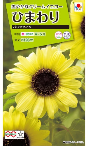 タキイ種苗 ヒマワリ バレンタイン 2ml 【郵送対応】 | 【メーカー名