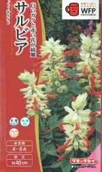 ���������ġ�����ӥ����ȡ����饤�ȡ�0.4ml����͹���б���