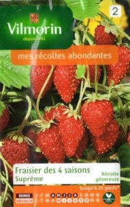 ��Vilmorin�ҡۥ�������DES 4 SAISONS-Supreme ��͹���б��ۡ�V-Straw1��