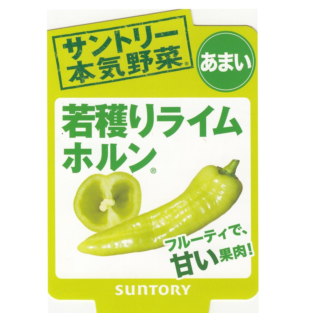 サントリー本気野菜 グルメピーマンの苗 「若穫りライムホルン」9cm