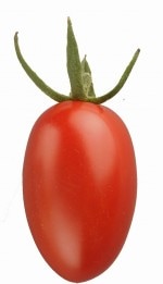 ����ȥ꡼�ܵ���ڡ��ȥޥ��� �ֽ㤢�ޡ�9cm�ݥåȡڣ�����ܡ�5����ȯ��ʬͽ���